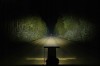 Panel LED PURELUX Panther Aero S800 162W 78 cm Led Bar Off Road Quad